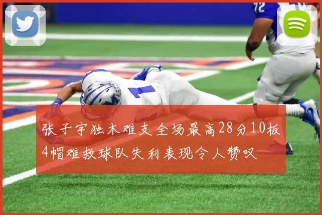 张子宇独木难支全场最高28分10板4帽难救球队失利表现令人赞叹